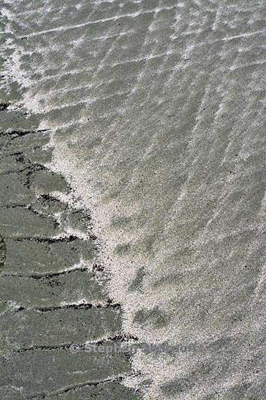 sand pattern 3700 2 graphic